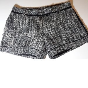 BCBG Shorts